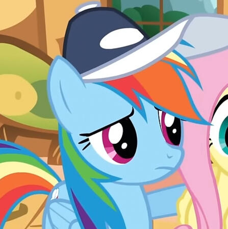 Rainbow Dash MLP Rainbow Dash MLP